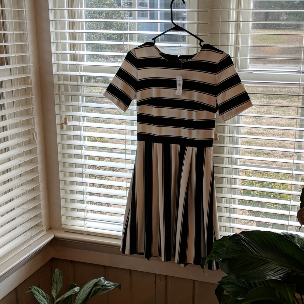 Loft stripped dress